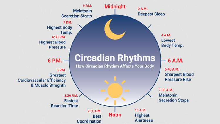 Ignite Your Optimal Health and Well-being with the Power of Circadian ...